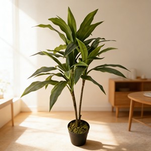 Árbol de Hierro de Sangre de Dragón de Simulación Bicolor Zhu Jiao para Decoración de Escenas de Hotel, Navidad y Graduación - Product Image 3