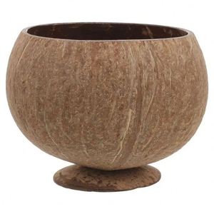 Tigelas de Coco de Indonesia de 10 Unidades, Coloridas, Ecológicas, con Caja, para Vela de Soja - Product Image 1