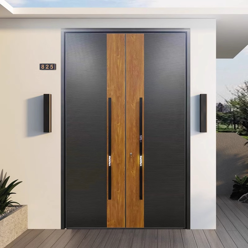 Double door style 016