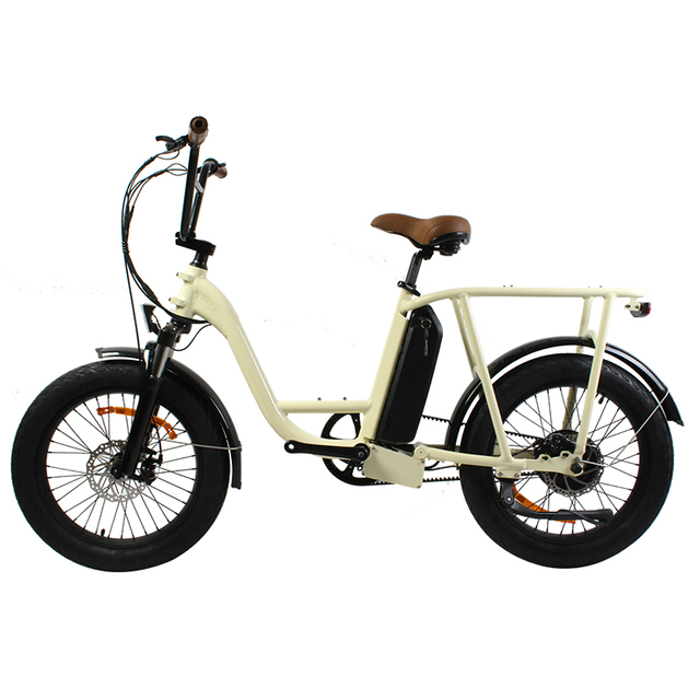 Daul Battery High Allocation Version Middle Motor Driving Family Outgoing Cargo Bicycle Two Wheels Electric Belt Drive Bike
