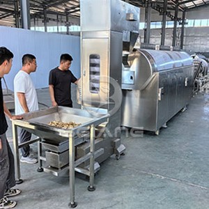 Linea di Lavorazione Continua ad Alta Capacità per Noci con Sistema di Controllo PLC per Attività di Snack Food - Product Image 5