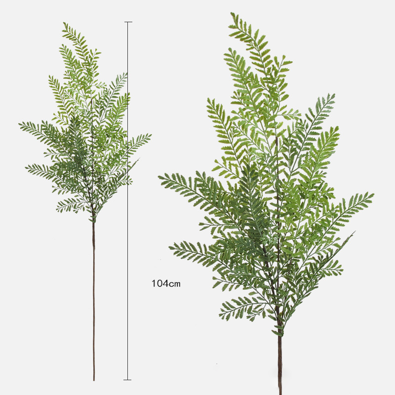 12-leaf 3-pronged long-stalked cloud soap fern