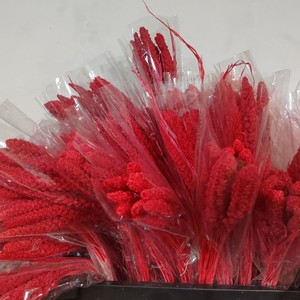 Oreilles de Millet éternel Fleur éternelle Oreilles de riz à l'eau Fleurs <span class=keywords><strong>séchées</strong></span> Millet Millet Décoration de la maison Cultures rurales - Product Image 3