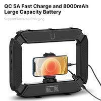 Ulanzi U200 Smartphone vidéo Rig LED lumière vidéo 2 en 1 anneau lumineux avec chaussure froide pour Microphone Tiktok Youtube Live Rig Light