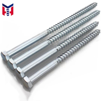 Hot Selling DIN571 4.8 Grade M4-M16 Zinc Plated Hexagon Wood Screw Wood Fastener