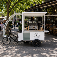 Tricycle électrique de transport pour adultes, scooter électrique à 3 roues ouvert, vélo électrique urbain longue portée avec toit, vélo cargo électrique
