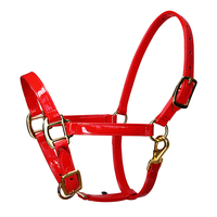 Harnais pour cheval en cuir microfibre. 20 mm de large, deux couches. Imperméable, facile à nettoyer. Produit équin, équipement équestre. LT4009
