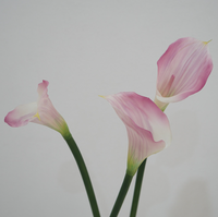 Realistische Künstliche Blumen Latex Künstliche Calla-Lilie 66cm Naturgetreue Calla-Lilie Kunstblume für Hochzeitsdekoration
