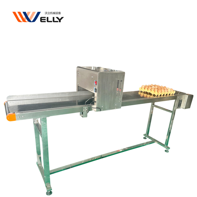 Easy to Operate Easter Egg Printing Laser Thermal Duck Egg Printer Machine for Export