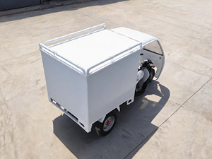 Tricycle de livraison en acier Lubumbashi en promotion, 3 roues, capacité de charge de 400 kg, avec boîte fermée et porte-bagages, idéal pour les commerces dans les villages isolés - Product Image 6