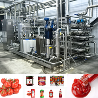 Ligne de production de purée de tomate pour usine de transformation de fruits et légumes, ligne de traitement de la purée de tomate pour usine de petite et moyenne taille