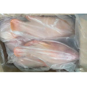 Tilapia Roja, Pescado Fresco de Tilapia Roja, Tilapia Entera, Cultivo de Tilapia Roja, Pescado Fresco de Tilapia, Precio Económico - Product Image 4