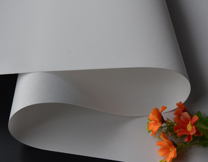 Toile d'<span class=keywords><strong>impression</strong></span> en polyester éco-solvant à prix de gros bon marché pour l'<span class=keywords><strong>impression</strong></span> à jet d'encre HP. - Product Image 2