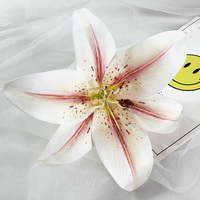Mit Neuem Design Großhandel Meijie Lilien-Blume QYY-906 für Heim- und Hochzeitsdekoration