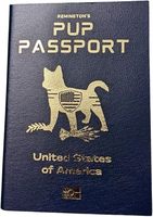 Carnet de passeport pour animaux de compagnie et album de présentation en papier gaufré personnalisé selon votre design - Carnets vierges