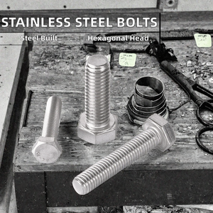 Hex Head Stainless Steel Bolts and Nuts M3 Thread Zinc Finish Screw <b>Fasteners</b> - Product Image 2