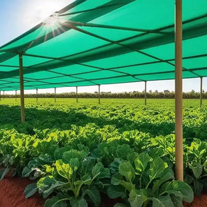<span class=keywords><strong>Filet</strong></span> pare-soleil agricole en HDPE de couleur verte, stabilisé aux UV, pour serres, fermes et plantes de jardin - Product Image 1