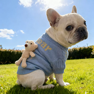 Suéter de punto para perro, cuello redondo, con peluche de oso, para Bulldog Francés, Pug, perros gorditos, invierno, venta al por mayor - Product Image 1