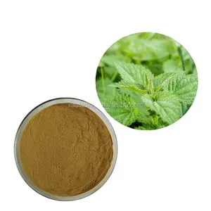 Orgnic nettle root extract Stinging Nettle Root Extract for capsules