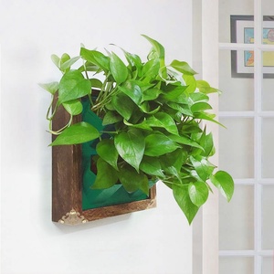 Décoration murale en bois pour la maison, cadre photo, jardinière verticale pour la décoration murale, plastique écologique, logo personnalisé, décoratif SOL vert - Product Image 5