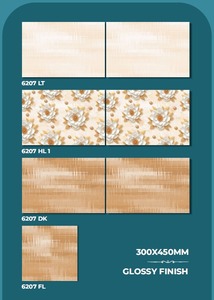 กระเบื้องบุผนังเซรามิกคุณภาพดีที่สุด ขนาด 300 x 450 มม. ผิวเคลือบด้านและขัดเงา กระเบื้องตกแต่งทันสมัยสำหรับผนังภายใน - Product Image 1