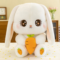 Peluche Lapin Carotte, Coussin Réconfortant Rembourré en Coton PP Lavé, Oreiller de Lit 31cm-50cm, Emballage Sous Vide, Cadeau d'Anniversaire pour Filles