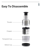 Presse à ail multifonctionnelle Pressing Dicer Slap Tool Manual Hand Garlic Cutter Food Vegetable Onion Chopper
