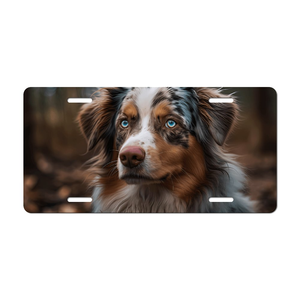 Placa de Matrícula <span class=keywords><strong>Personalizada</strong></span> para Auto o Moto, de Aluminio Plateado con <span class=keywords><strong>Nombre</strong></span> de Marca en Relieve, Decoración de Alto Rendimiento para Estados Unidos - Product Image 1