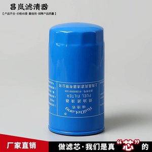 Filtre à carburant Red Wolf 612600081334H pour moteurs Weichai - Product Image 2