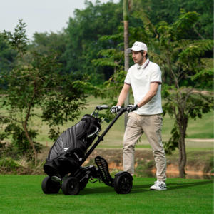 ESWING Scooter Elettrico a 4 Ruote, Carrello da Golf Portatile Compatto, Nuovo Design, Velocità Massima 25km/h, in Offerta - Product Image 2