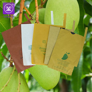 Kantong Buah Pelindung Guava Kantong Pelindung Mangga Harga Penutup Buah Melon Pertanian Kertas Berlapis Lilin Segel Panas - Product Image 1