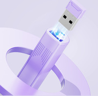 Télécommande de présentation rechargeable avec pointeur lumineux, stylet tactile et écran numérique, dotée d'une fonction télescopique
