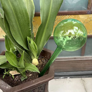 Dispositivo automático de riego por goteo para plantas de jardín, picos de riego automático, globos de riego para plantas - Product Image 4