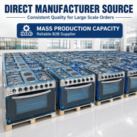 Cuisinière combinée gaz et électrique autoportante X Factory Supply 76*60cm, 4 brûleurs gaz, 2 plaques chauffantes électriques, four, CKD disponible