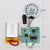 Puce sonore à capteur de lumière, haut-parleur USB programmable pour carte de vœux, carte sonore enregistrable 8M, jouet audio vocal DIY rechargeable