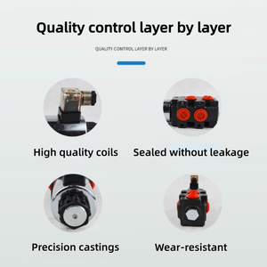 NBLandsky SVV09電磁スイッチングバルブ分割6方向制御バルブ1/2ポート50L/minフロー24圧力 - Product Image 5