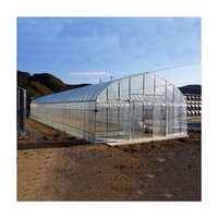 Système hydroponique commercial Serre agricole à tunnel en poly monocouche Serre à travée unique de petite taille