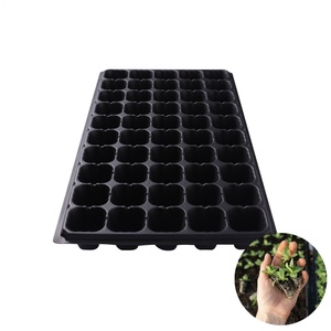 Plateau de plantes de graines noires, 200 cellules, prix d'usine, plateau de graines de fraises <span class=keywords><strong>pour</strong></span> pépinière - Product Image 2