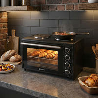 Four à convection multifonctionnel de grande capacité avec boîtier en métal pour la cuisson à domicile, pizzas et toasts