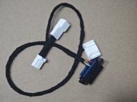 Cable OBD2 para Tesla Model 3 Highland, Conector de 10 Pines, Herramienta de Diagnóstico, Adaptador Automotriz, Cable de Diagnóstico para Auto