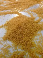 Ligne de production de fabrication de riz artificiel de 500 à 600 kg/h, livraison du fabricant, ligne de production de riz doré, ligne de production de riz nutritif, extrudeuse de riz