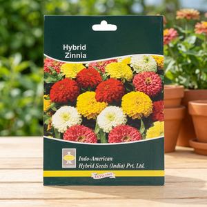 IAHS ZINNIA ZAHARA MIX เมล็ดพันธุ์ดอกไม้พรีเมียม 15 เมล็ด หลากสี - Product Image 3