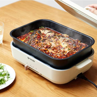 Appareils de cuisine Cuisinière électrique chinoise avec poêle à frire pour la maison et le dortoir.