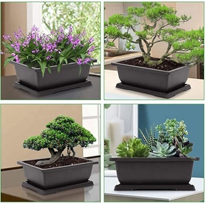 Fournitures de jardin <span class=keywords><strong>pas</strong></span> <span class=keywords><strong>cher</strong></span> Macetas Para Bonsai Rectangle 11 "Bonsai Pot de fleur 29cm <span class=keywords><strong>Grand</strong></span> Bonsai Pot - Product Image 4