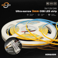 Mini bande LED FCOB ultra-fine 2mm 3mm 4mm 5mm 12V 24V sans points haute densité CRI90 blanc chaud pour armoire CE RoHS