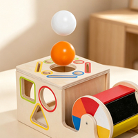 Houten vormsorteerspeelgoed Montessori kleurmatchende doos met schijven, staven, ballen, geometrische blokken, educatief speelgoed voor peuters