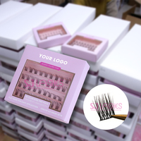 SJ LASHES vente en gros cluster 3D et individuel C/D Curl Fox Cat Eye Eyelash Kit cils vente en gros marque privée