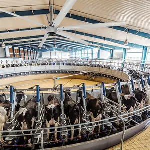 AMCLING هوائي هوائي هوائي هوائي هوائي هوائي هوائي هوائي هوائي هوائي هوائية صناعية كبيرة السقف للمراوح الكبيرة التجارية 7.3 م 24 قدم 12 قدم هوائي هوائية هوائية هوائية صناعية لموريدات إندونيسيا - Product Image 3