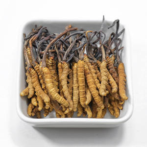Poudre d'extrait de Cordyceps sinensis entier de haute qualité <span class=keywords><strong>acheter</strong></span> cordyceps sinensis - Product Image 1