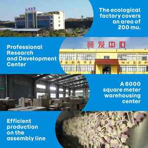 <span class=keywords><strong>Cereales</strong></span> Instantáneos de Avena <span class=keywords><strong>con</strong></span> Arándanos <span class=keywords><strong>para</strong></span> Niños, Alto en <span class=keywords><strong>Fibra</strong></span>, Antioxidantes, Alimento Saludable <span class=keywords><strong>para</strong></span> Bebés y Niños - Product Image 5